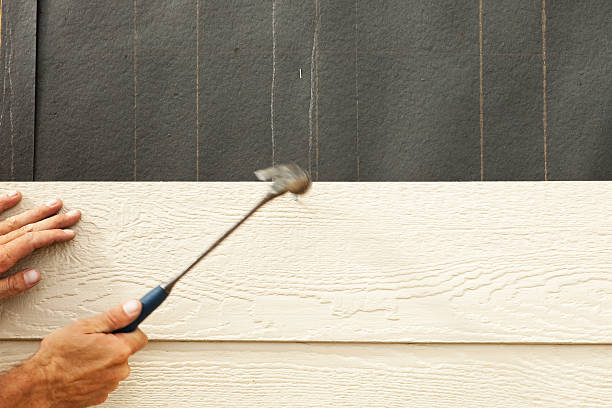 Best Vinyl Siding Installation  in Donaldsonville, LA